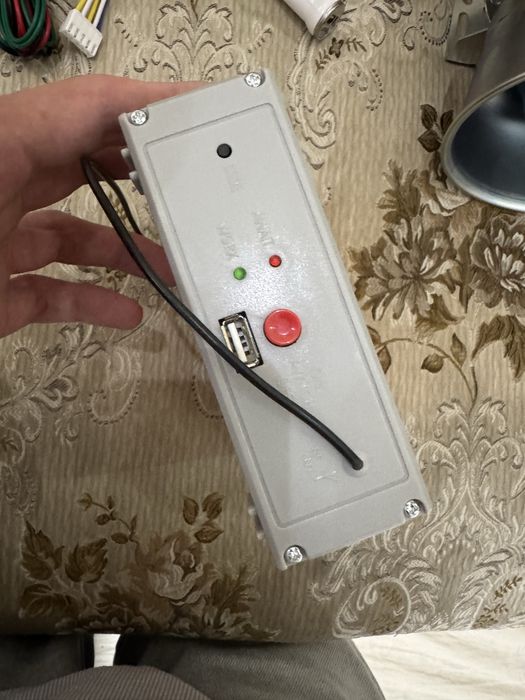 Сирена на один день