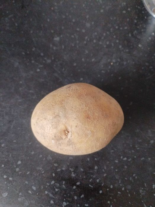 Семенной картофель