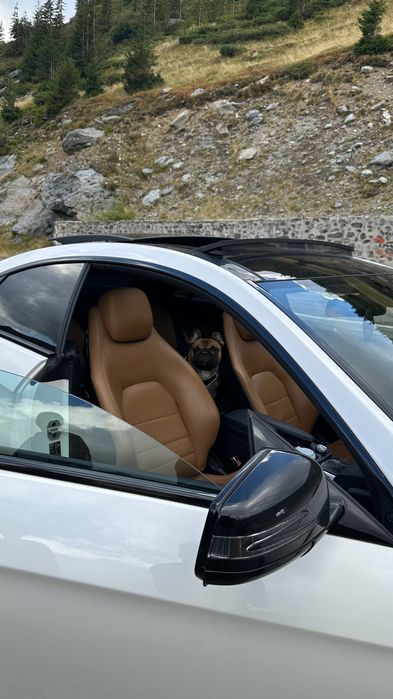 MERCEDES-BENZ E-Class 2011 — imagine 4