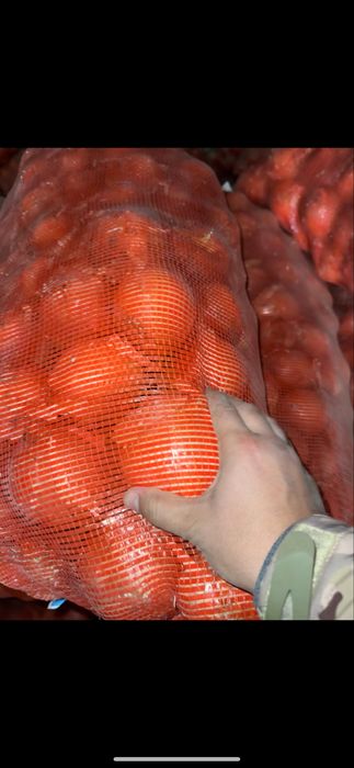 Лук репчатый, отборный в большом обьеме