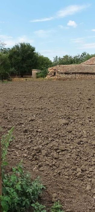 Продава се Парцел в с. Захари Стояново, Област Добрич - 1500 кв.м за 18 €/кв.м - Снимка #7