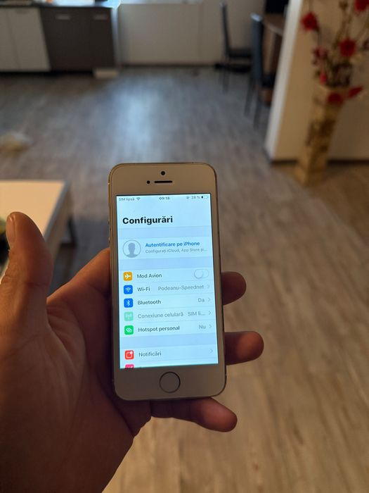 iPhone 5s Gold Functional