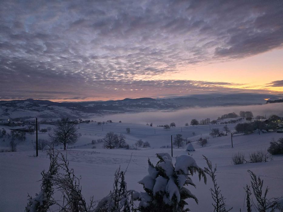 Teren intravilan Rosia