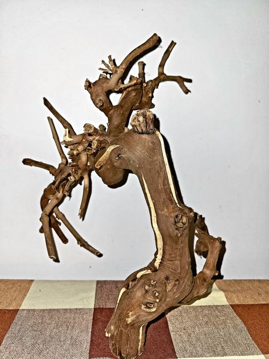 Vând cioate decor acvariu