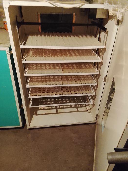 de vânzare incubator