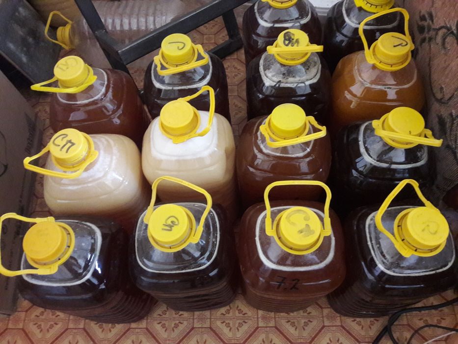 Продам свежий Мёд!!!