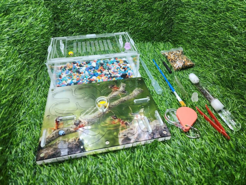 муравьиная ферма!!