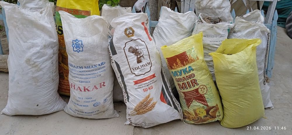 Tekinga chirigan goʻng(mayda molniki)