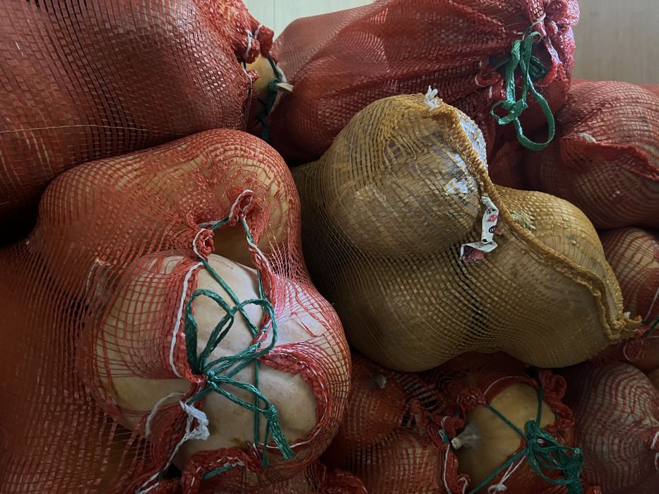 Продам мантную тыкву