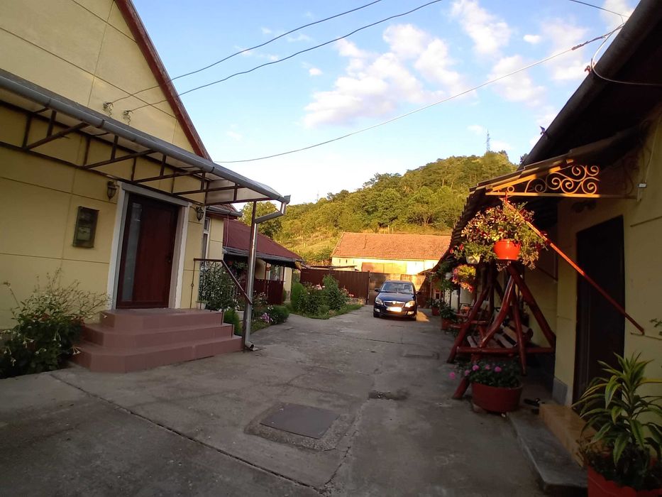 Casa de vanzare in Vetel