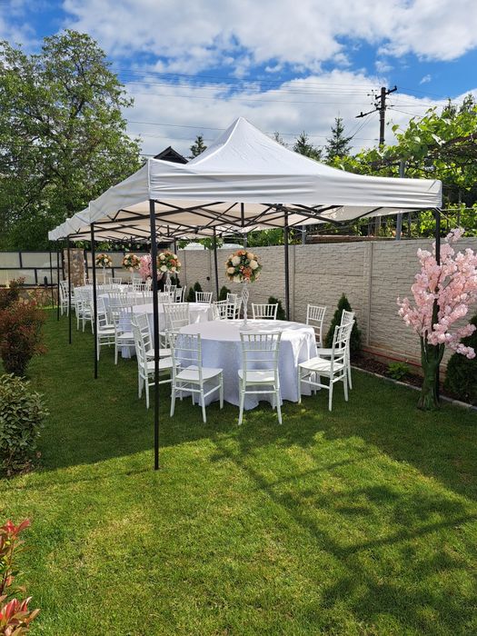 Vitrine frigorifice de închiriat.