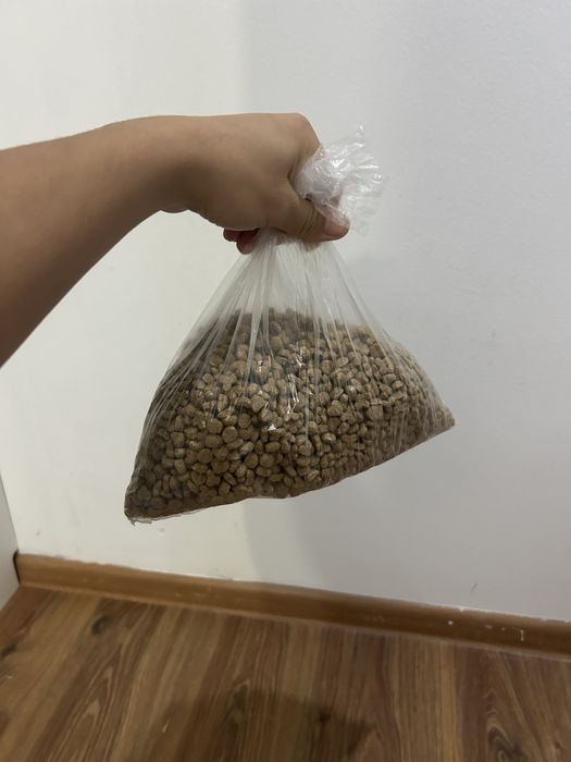 Набор аксессуаров для кошки