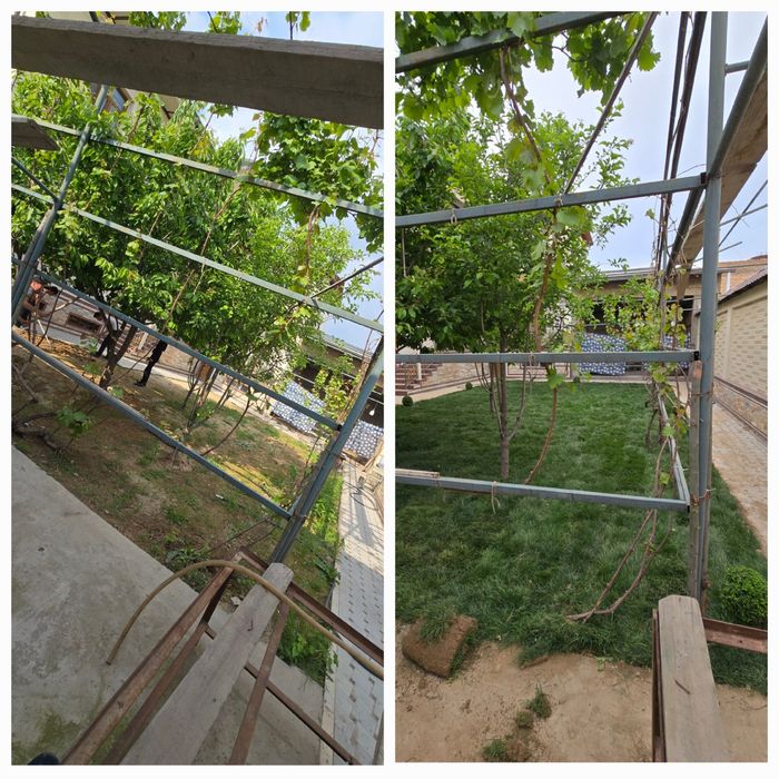 Urug'li va tayor gazon/ уругли ва таёр газон