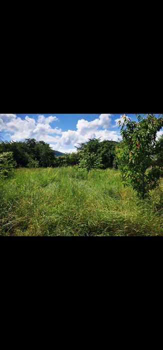 Casa de vânzare în: RĂȘINARI-Marginimea SIBIULUI