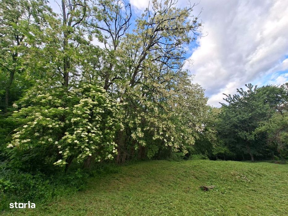 Oază de liniște și natură pură | Teren  în Runcu - Dobrița, Gorj