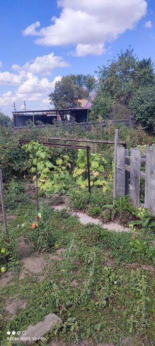 Дача СПП под телевышкой