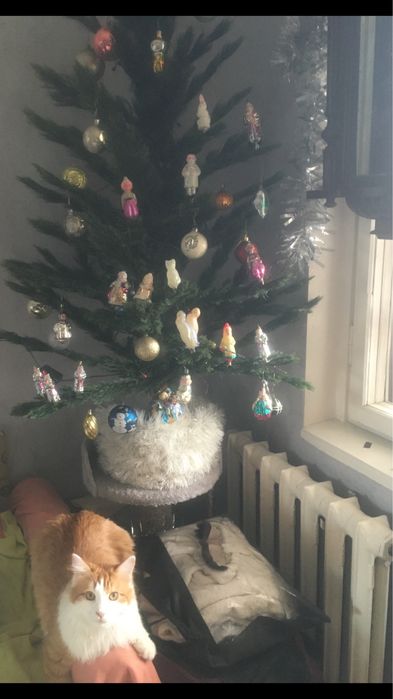 Новогодняя ёлка!