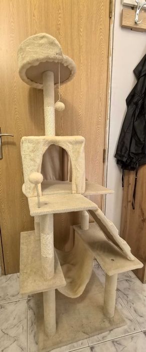 Продавам котешка катерушка