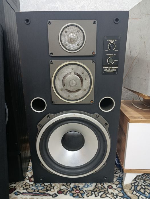 Колонки электроника 50 ас 061 м