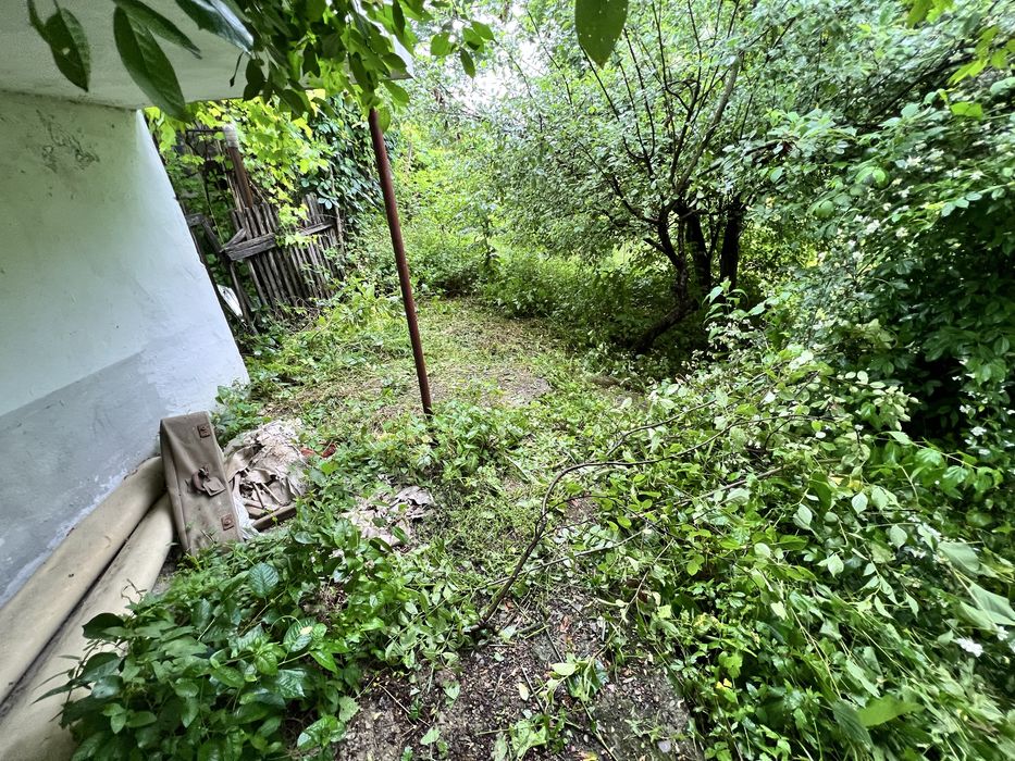 Teren si casa Provita de Jos