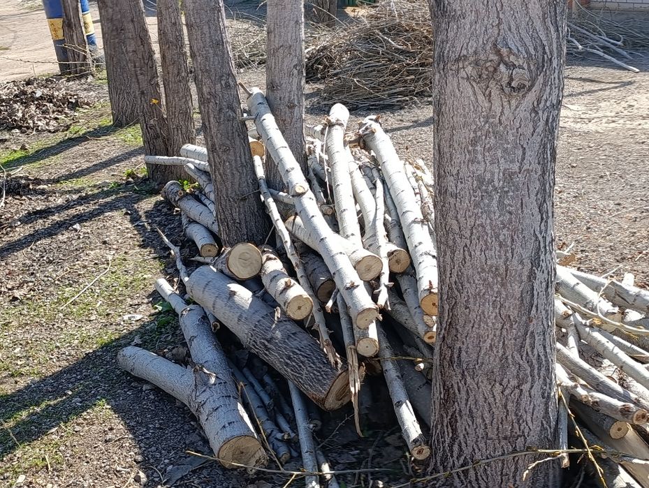 Отдам даром на дрова