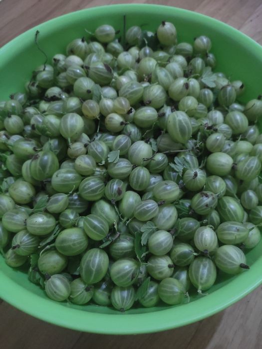 Продаю дачу в Михайловке, 12 соток