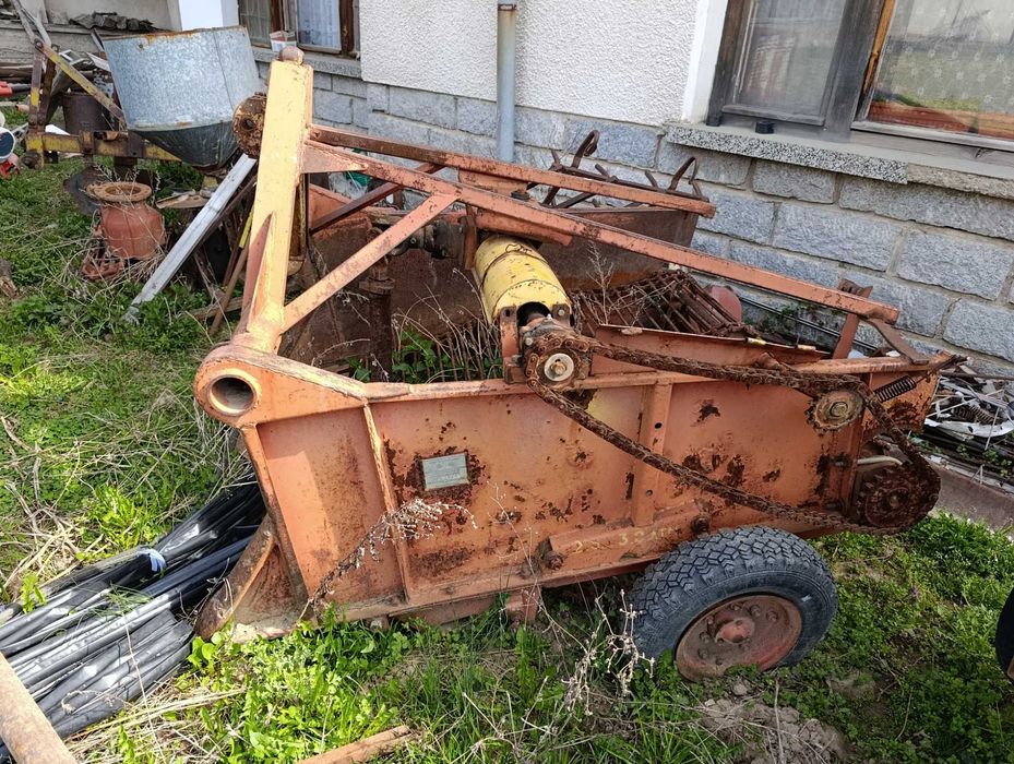 Картофовадачка двуредова