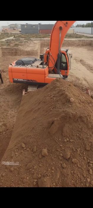 Toza sifatli saru turpo