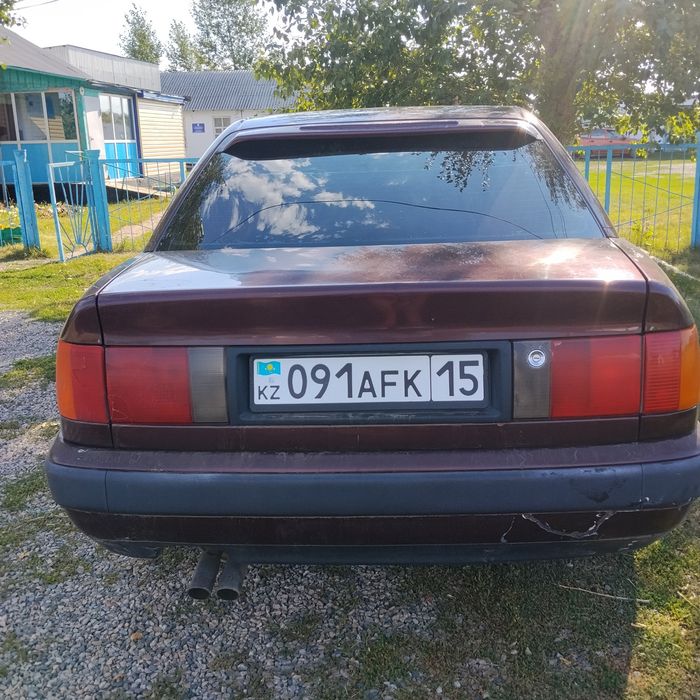 Ауди 100 с4, Газ-бензин