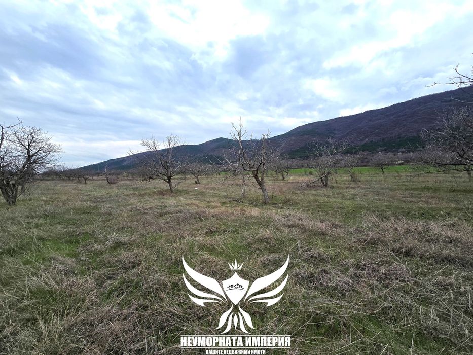 Продава се Парцел в Асеновград - 4132 кв.м за 16 €/кв.м - Снимка #9