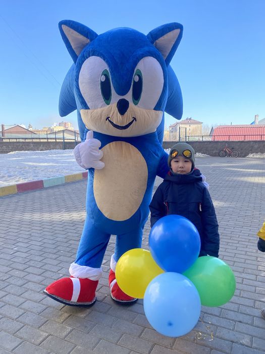 Аниматор Соник!Экспресс поздравление!