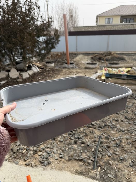 Лоток для кошек лоток