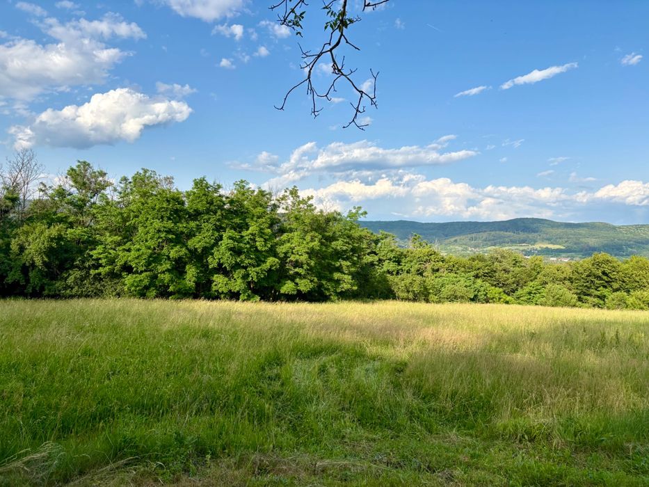 Vând teren intravilan în zona Valea Brazilor