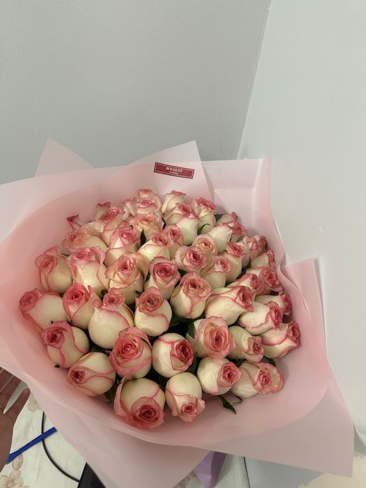 гул сатылады свежи бугн алынган