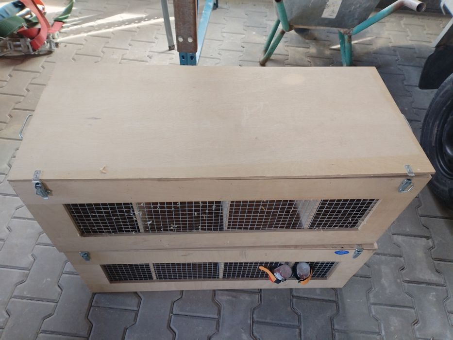 Custi transport iepuri