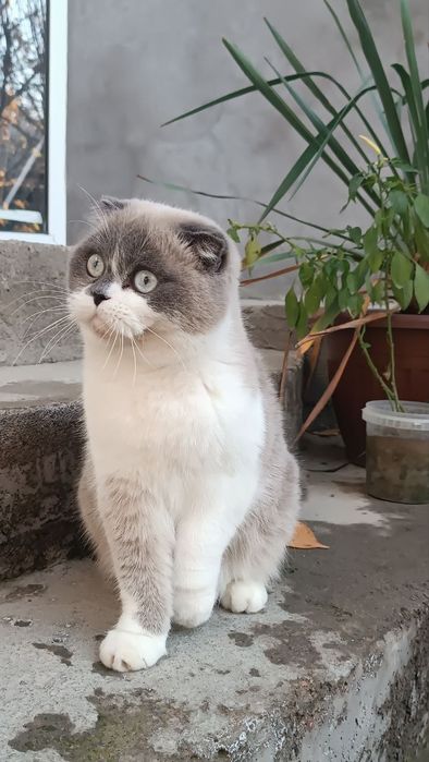 Moskva davlat universiteti hojatxonasidagi yashirin kamera