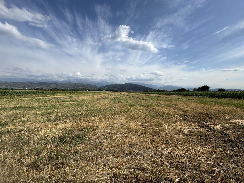 Земельный участок