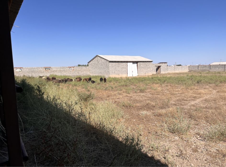 Мал Кора Мал Қора Фазенда