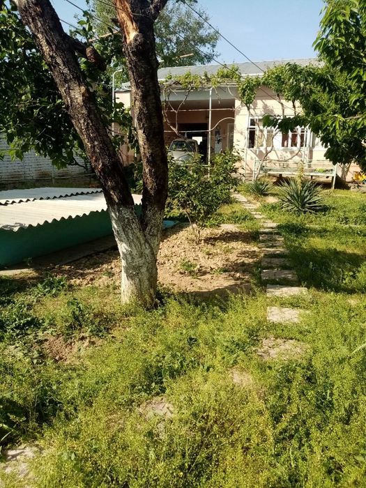 Продаю свой участок,6,3 соток, Шайхантахурский район,Рабочий городок