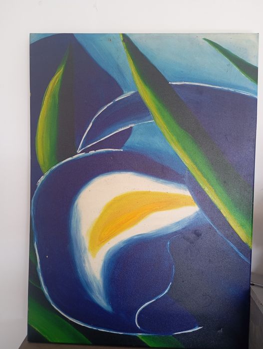 Картины каждая по 50