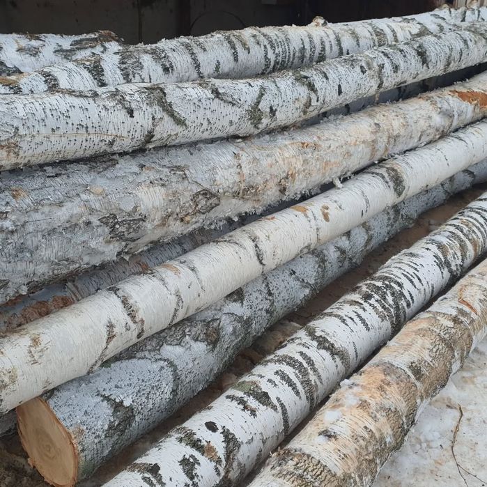 Осина, Берёза, Сосна