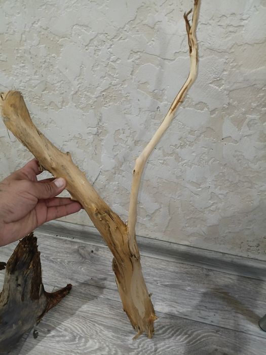 Коряги аквариумные