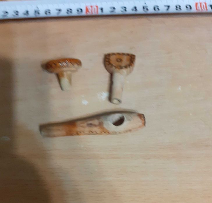 Буренце - декоративно, годно за употреба