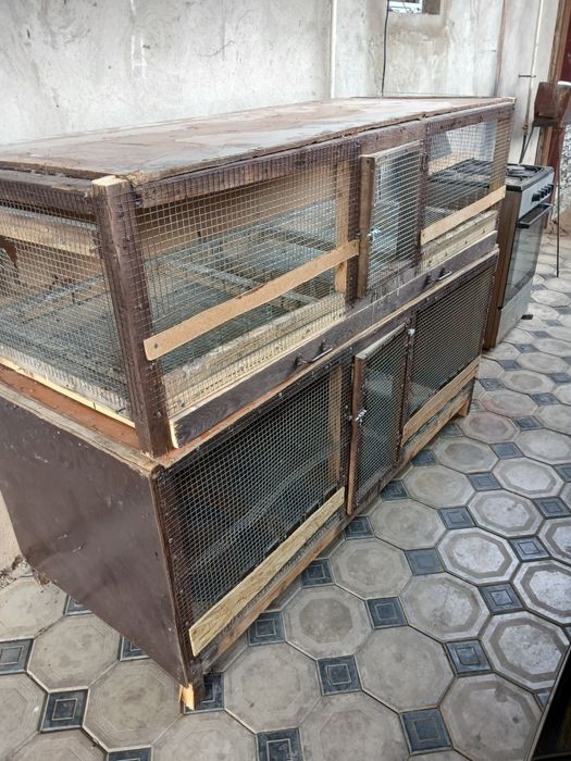 Брудер для циплят и кроликов.