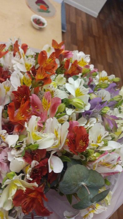 Гүл сатылады бүгінгі