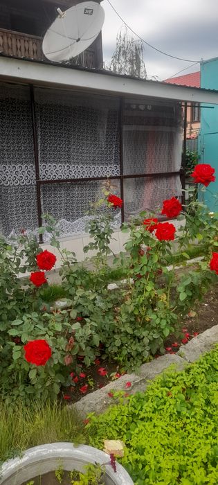 Продам дачу в ПТ Дружба Бобровка Боьровка