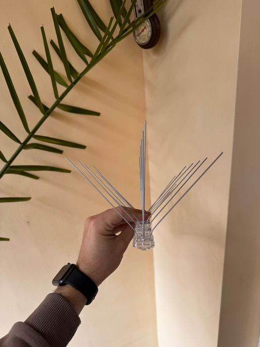 Шипове против птици