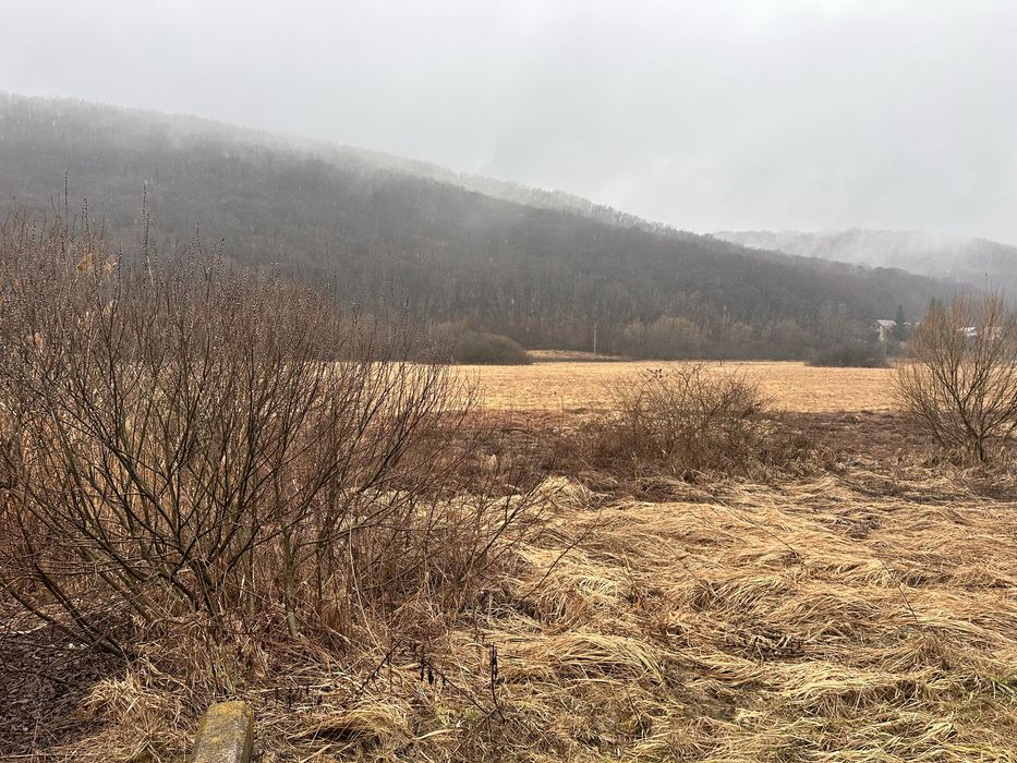 Vand TEREN INTRAVILAN 10.000 m2 ,front 50 ML la DN E-60 CAPUSUL MARE