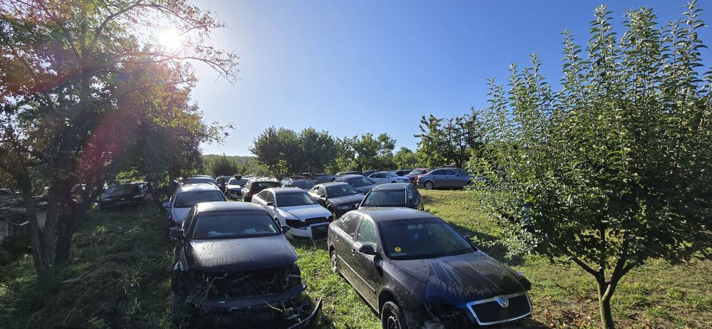 Dezmembrări multimarcă Audi VW BMW Kia Ford Mercedes Renault etc