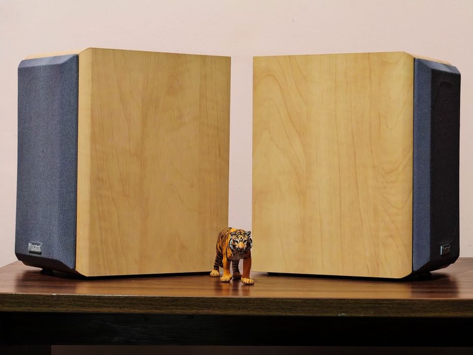 Magnat Motion 990 SET. Boxe raft superbe. Sunet fin, nemțesc. Preț fix